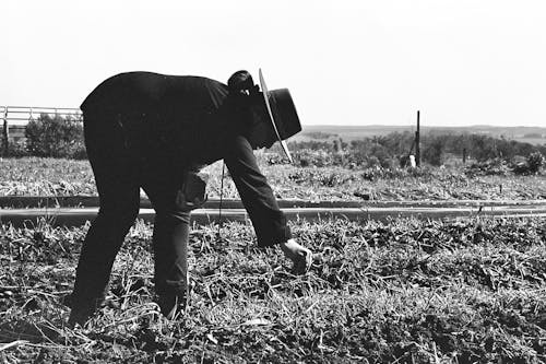 Kostnadsfri bild av åkermark, gråskalafotografi, person