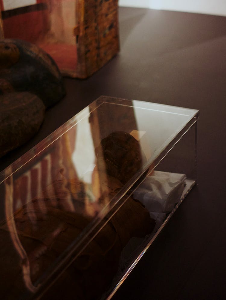 A Mummy In A Clear Glass Coffin