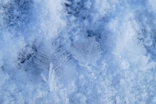 Fotos de stock gratuitas de al aire libre, blanco como la nieve, clima helado