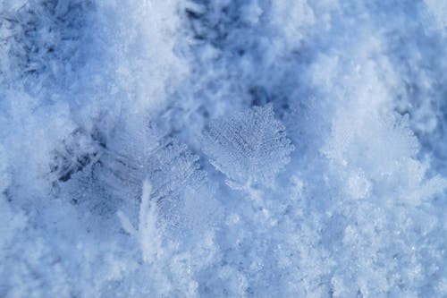 Základová fotografie zdarma na téma ledový, mrazivé počasí, pozadí