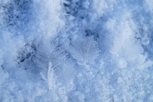 Detailed macro shot of a snowflake on a frozen surface, highlighting winter's frosty beauty.