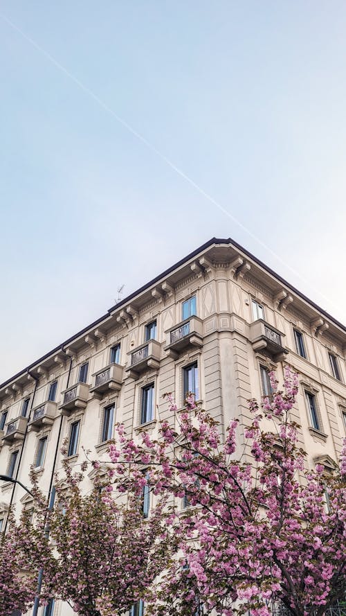 Foto stok gratis itali, latar belakang musim semi, Milan