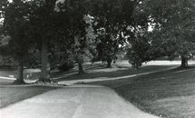 Singleton Park, Swansea, 1970's