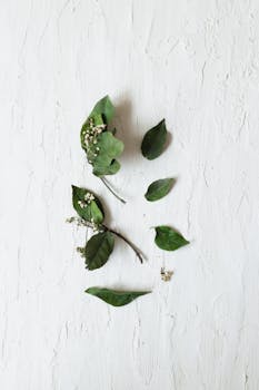 Elegant green leaves and small flowers on a textured white background.