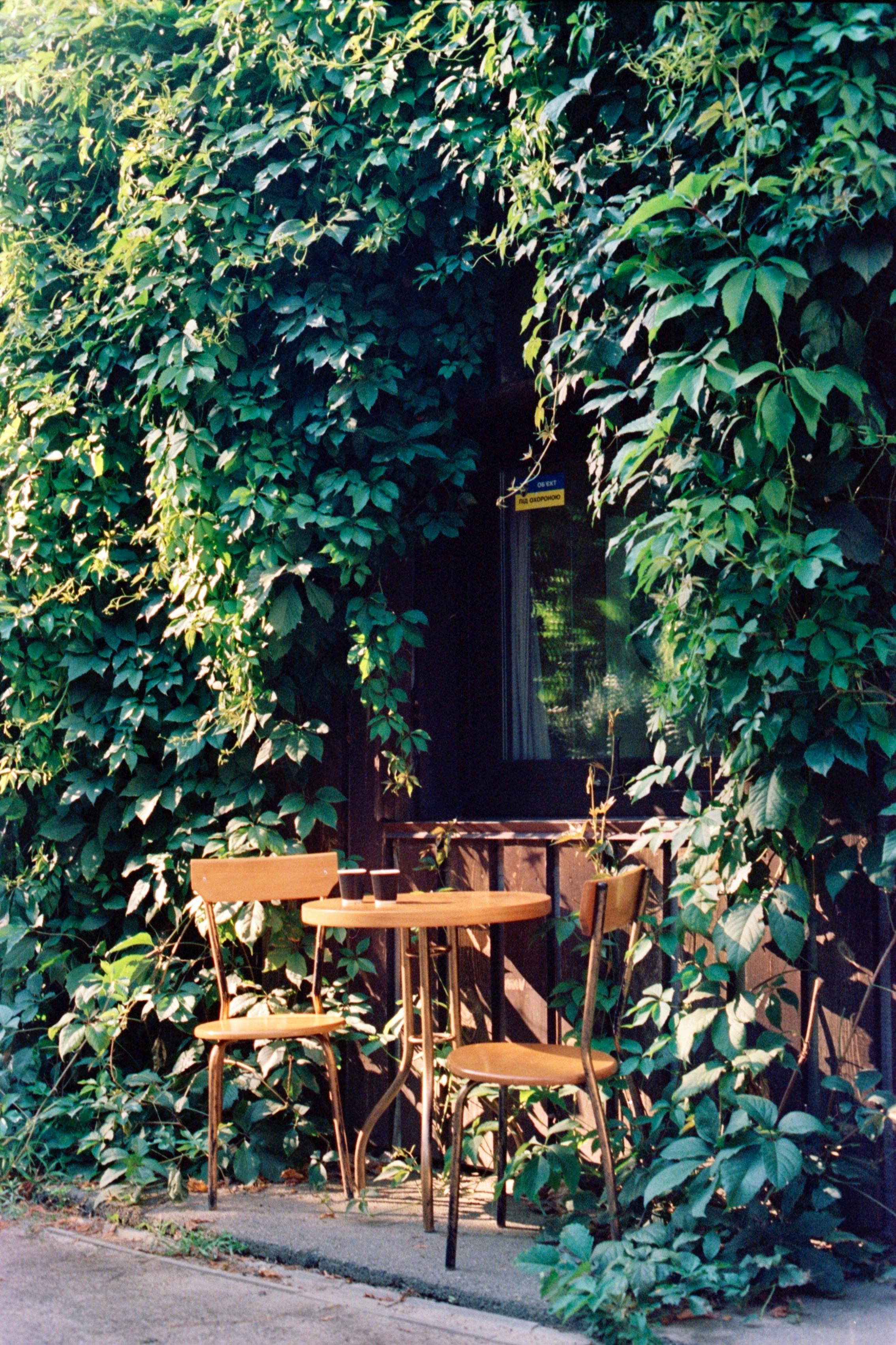 Gratuit Imagine de stoc gratuită din ambianță, ambianță rustică, armonios Fotografie de stoc