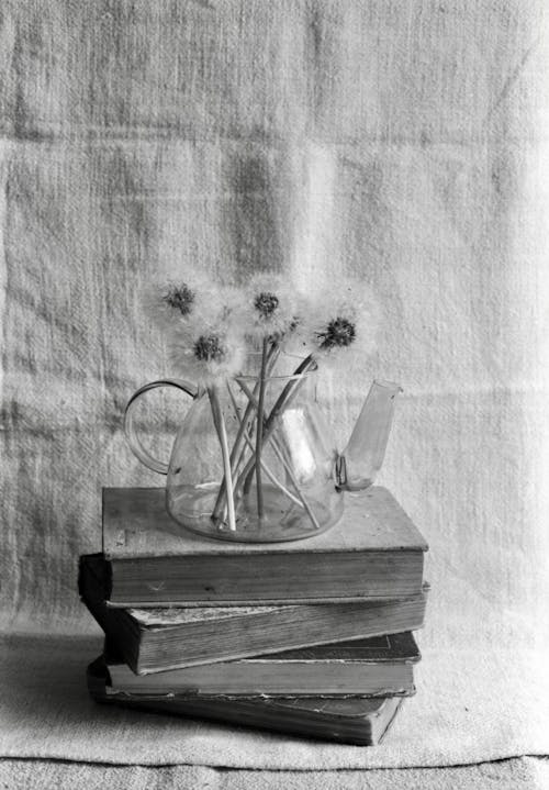 Free Grayscale Photo of Flower in Vase Stock Photo