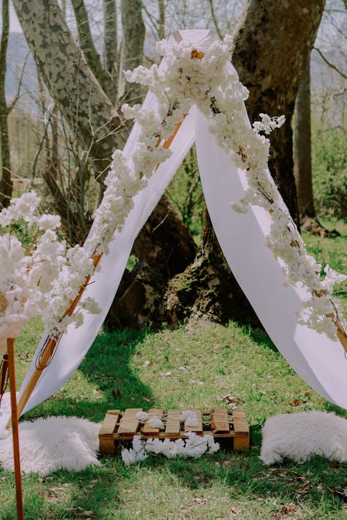 Free 
A Wooden Pallet under a Tent Stock Photo