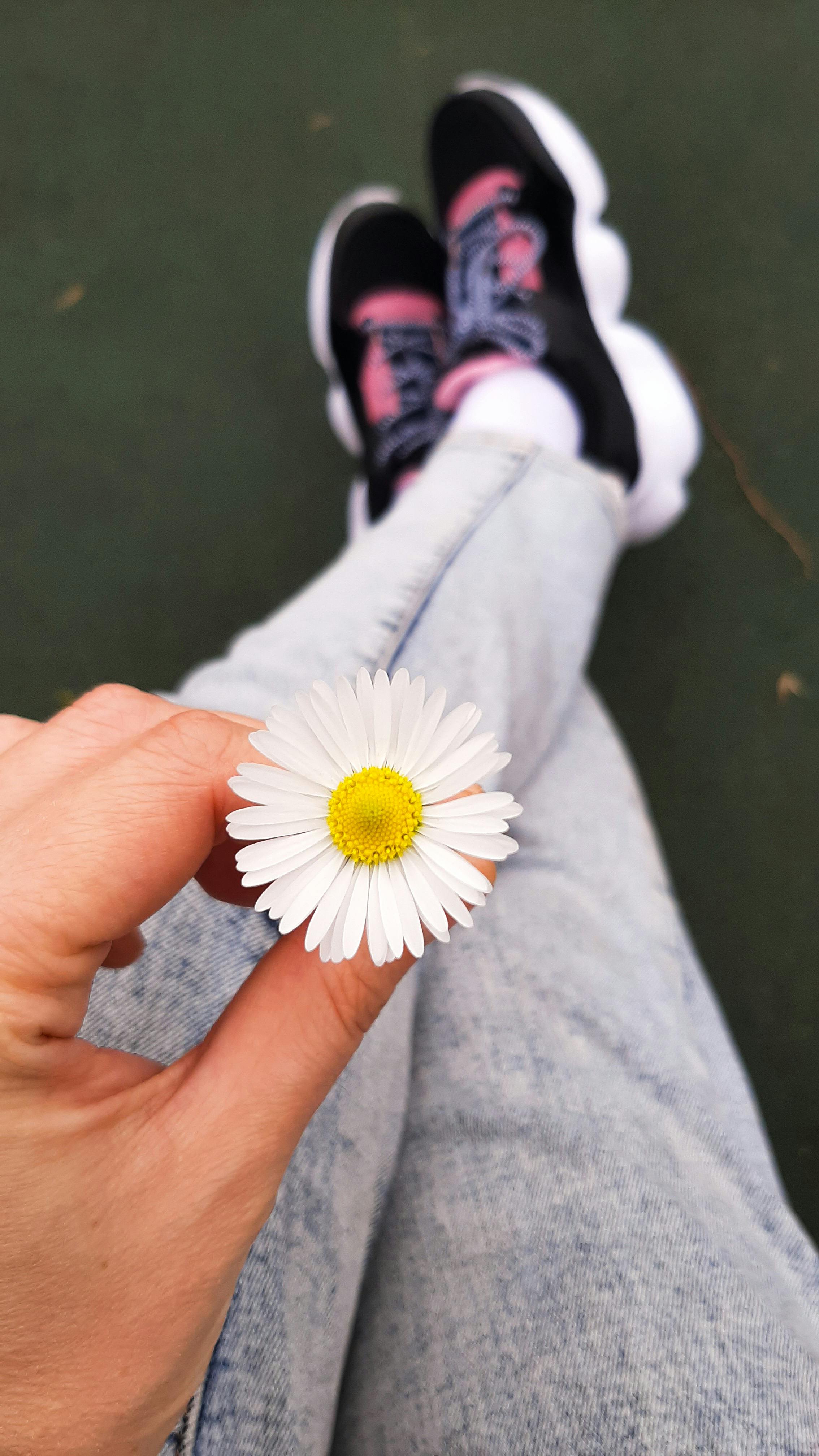 Selective Focus Photo of Woman Holding a White Daisy Flower · Free Stock  Photo