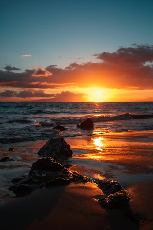 Free Golden ocean sunset Stock Photo