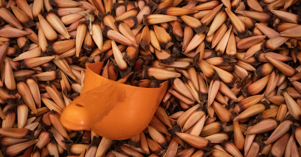 Comment choisir les bons produits bio pour votre peau