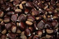 Brown Round Fruit on White Textile