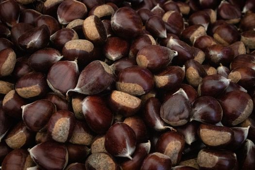 dark red brown chestnuts