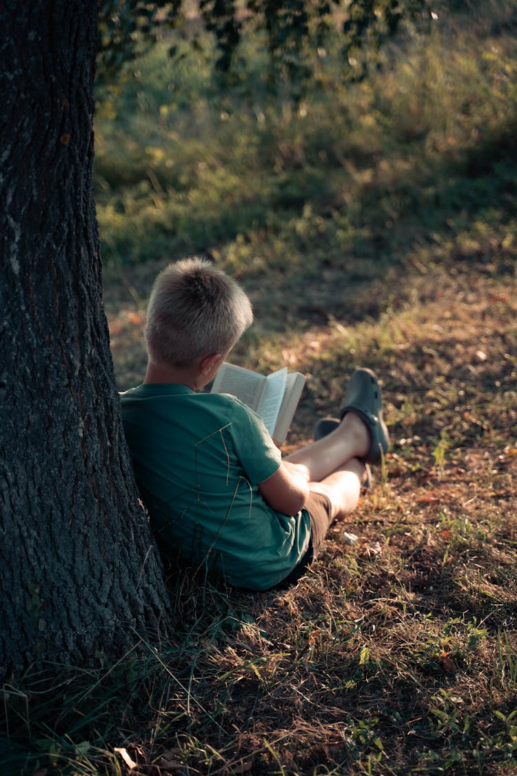 A Boy Reading A Book Under A Tree