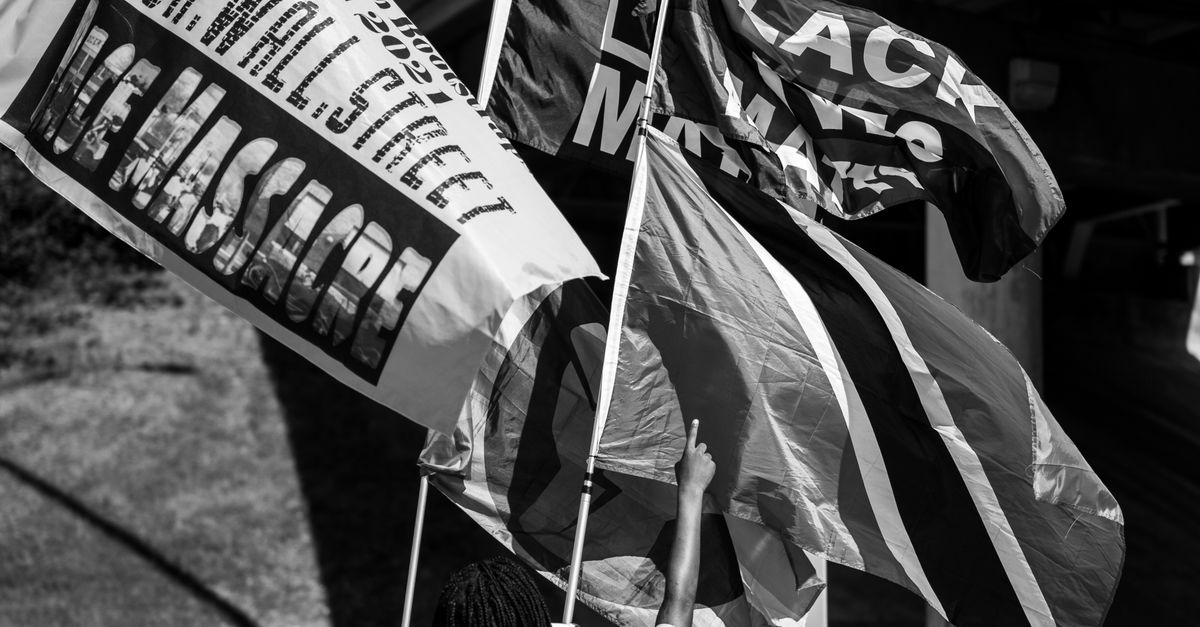 Common Protest Flags People with Flags on a Protest · Free Stock Photo