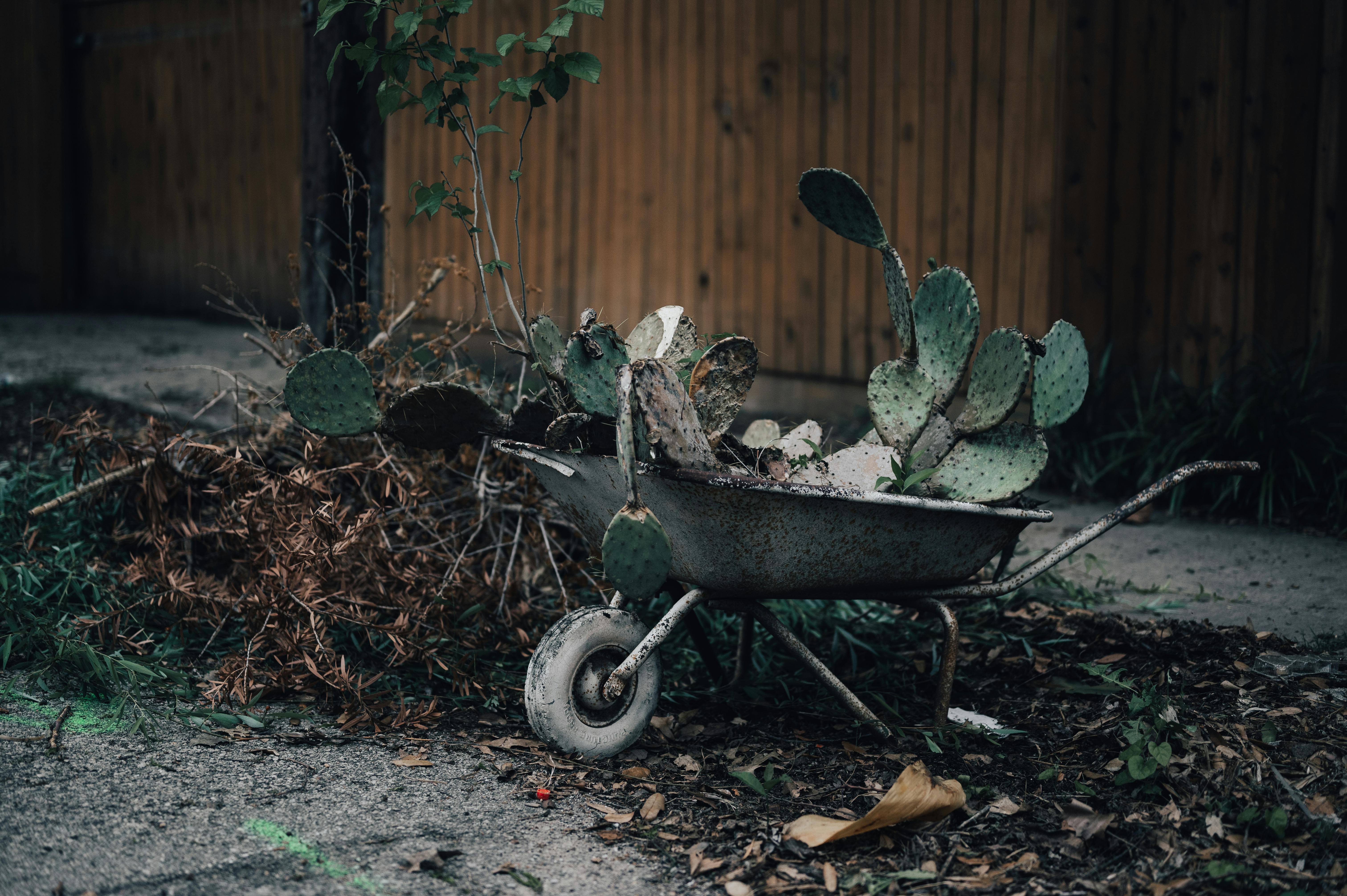 Gardening Doesn’t Have to Be Grueling—15 Clever Gardening Tools Under $30 That Save the Back-Straining Energy — Photo by Alfo