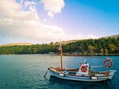 Sailboat Anchored on Sea