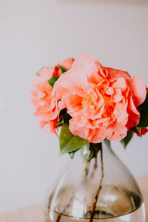 Flowers in a Glass Vase 