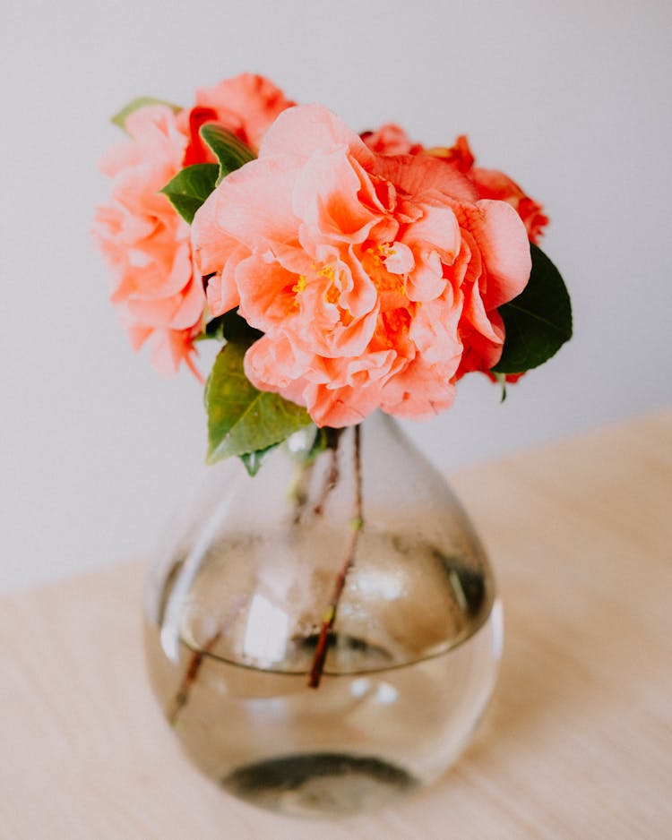 Pink Flowers In Glass Vase