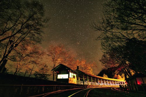 Train Rails Among Trees At Night