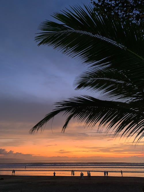 Foto profissional grátis de à beira-mar, alvorecer, beira mar