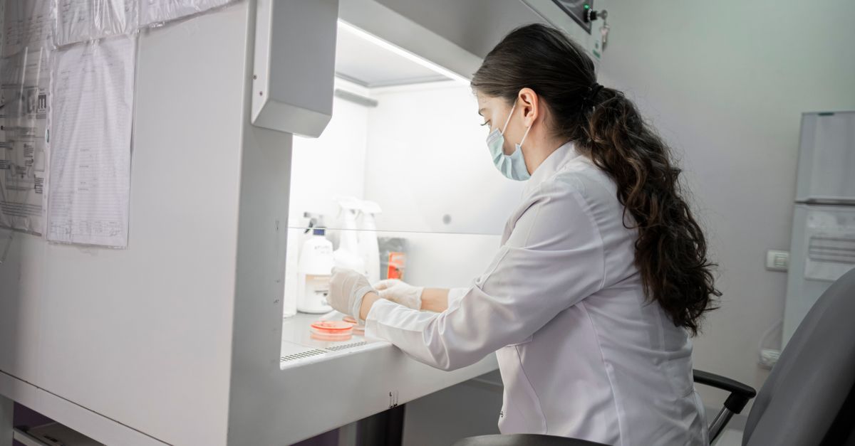 How Healthy Workplace Certification Fuels Leadership Development