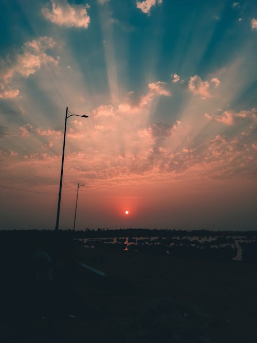 A Silhouette of Street Lamps during the Golden Hour