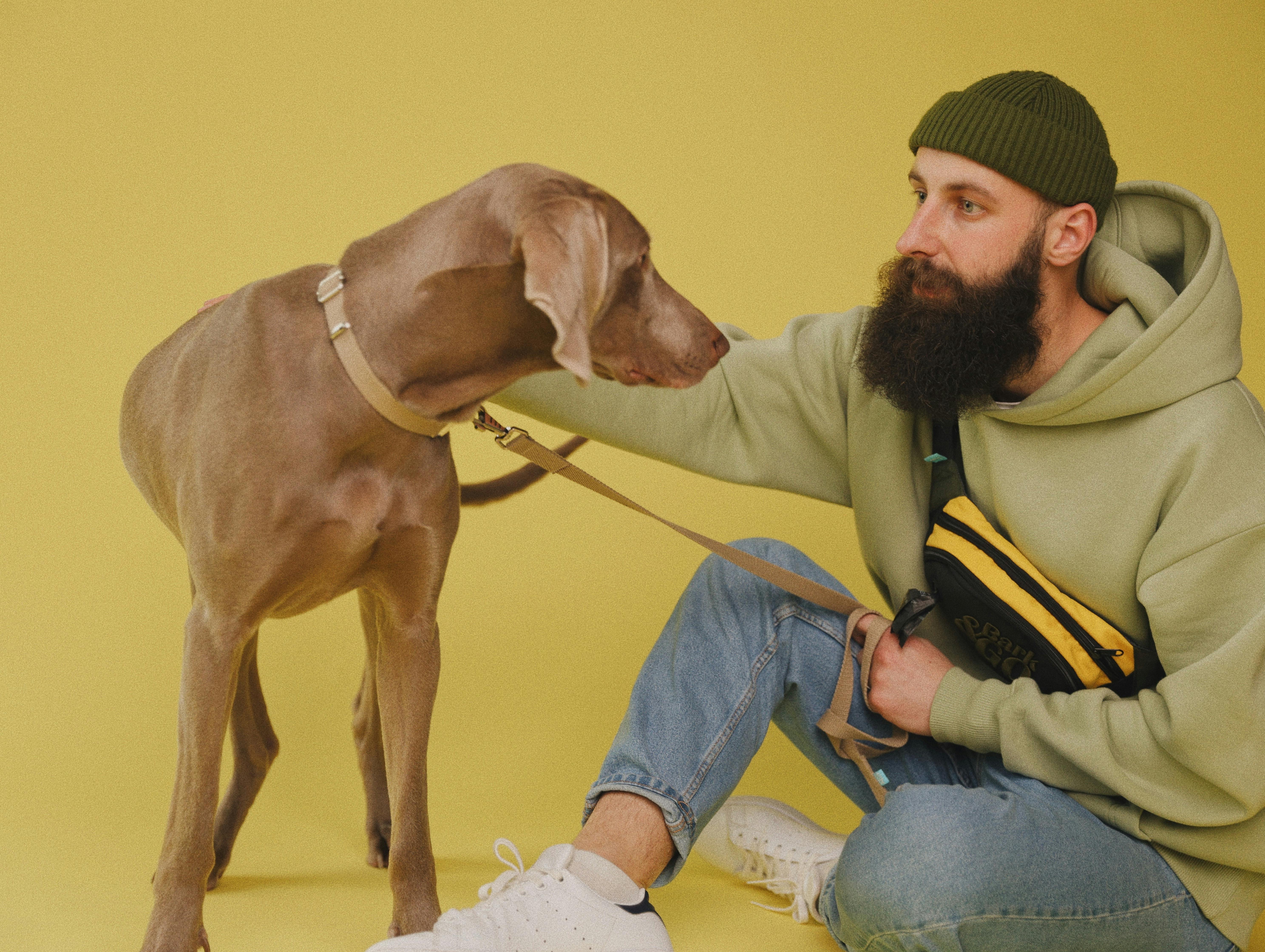 Advanced dog training session using hoodie features