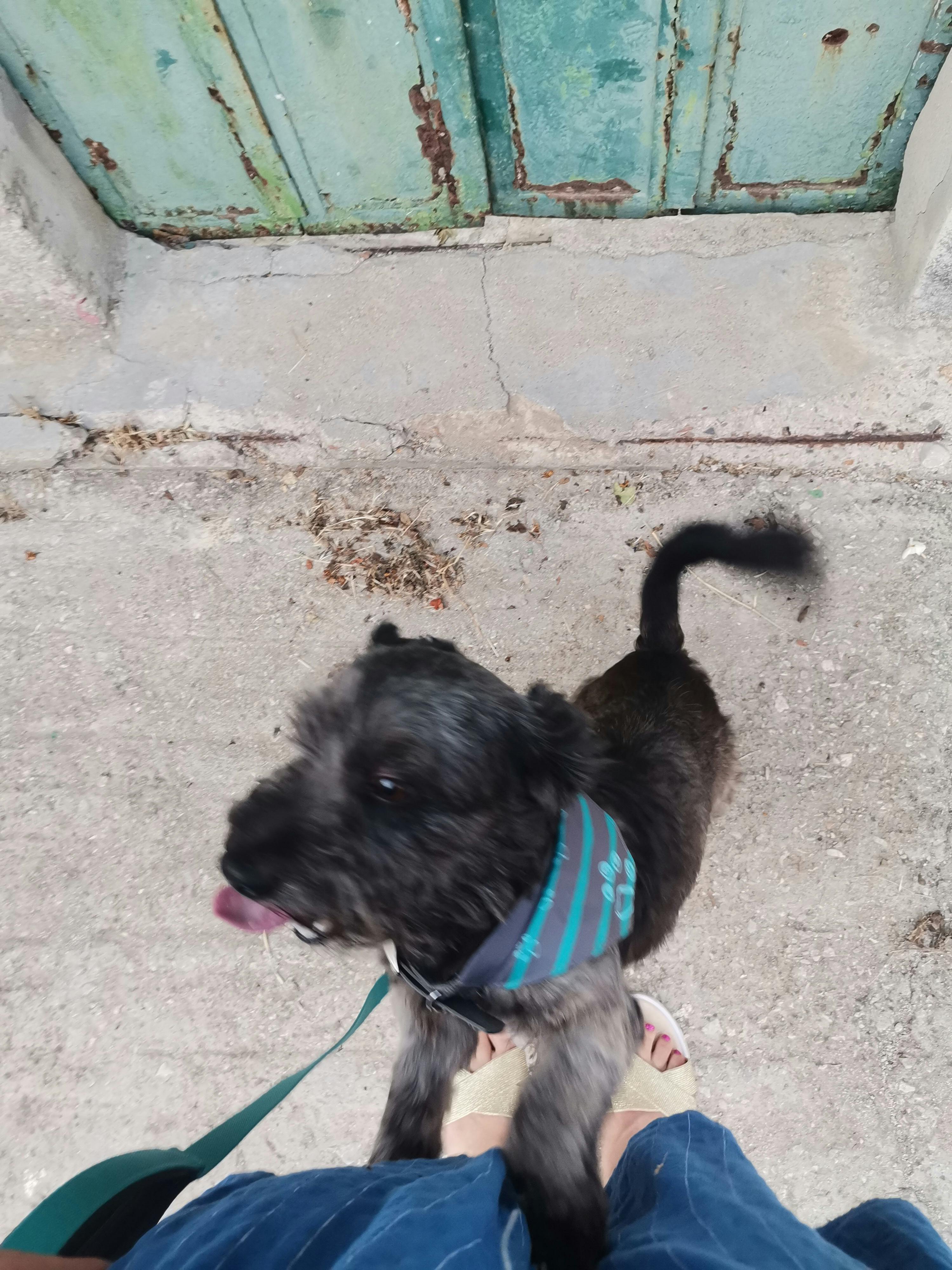 Smartphone on desk surrounded by digital icons representing connected apps and AI services