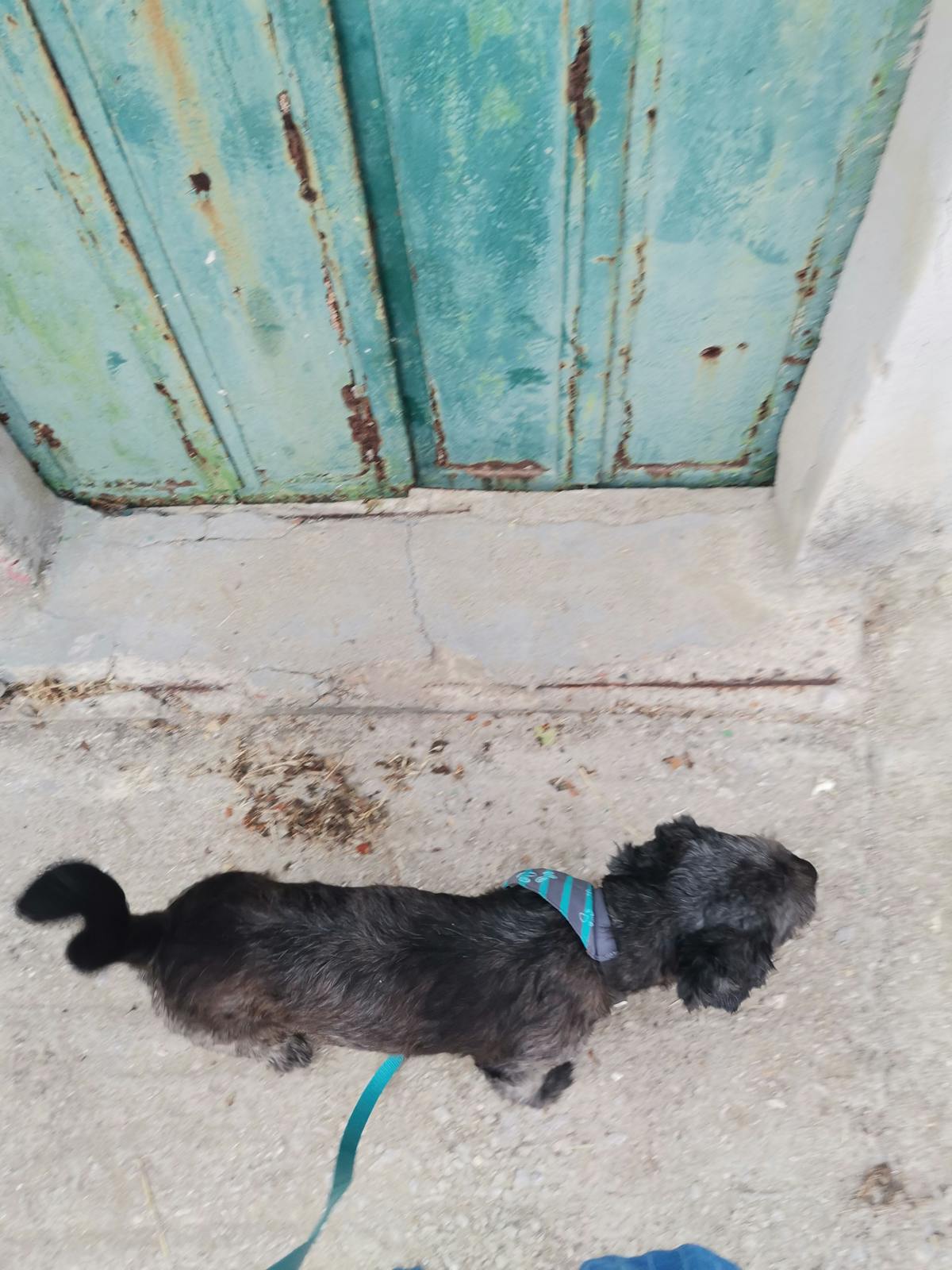 Developers collaborating in front of laptops discussing blockchain architecture