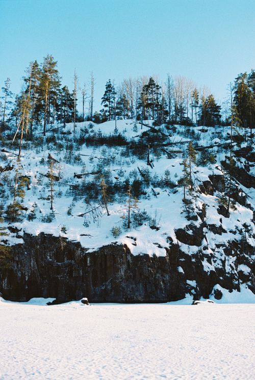 Free Scenic winter landscape of snow-covered cliffs with pine trees against a bright blue sky. Stock Photo