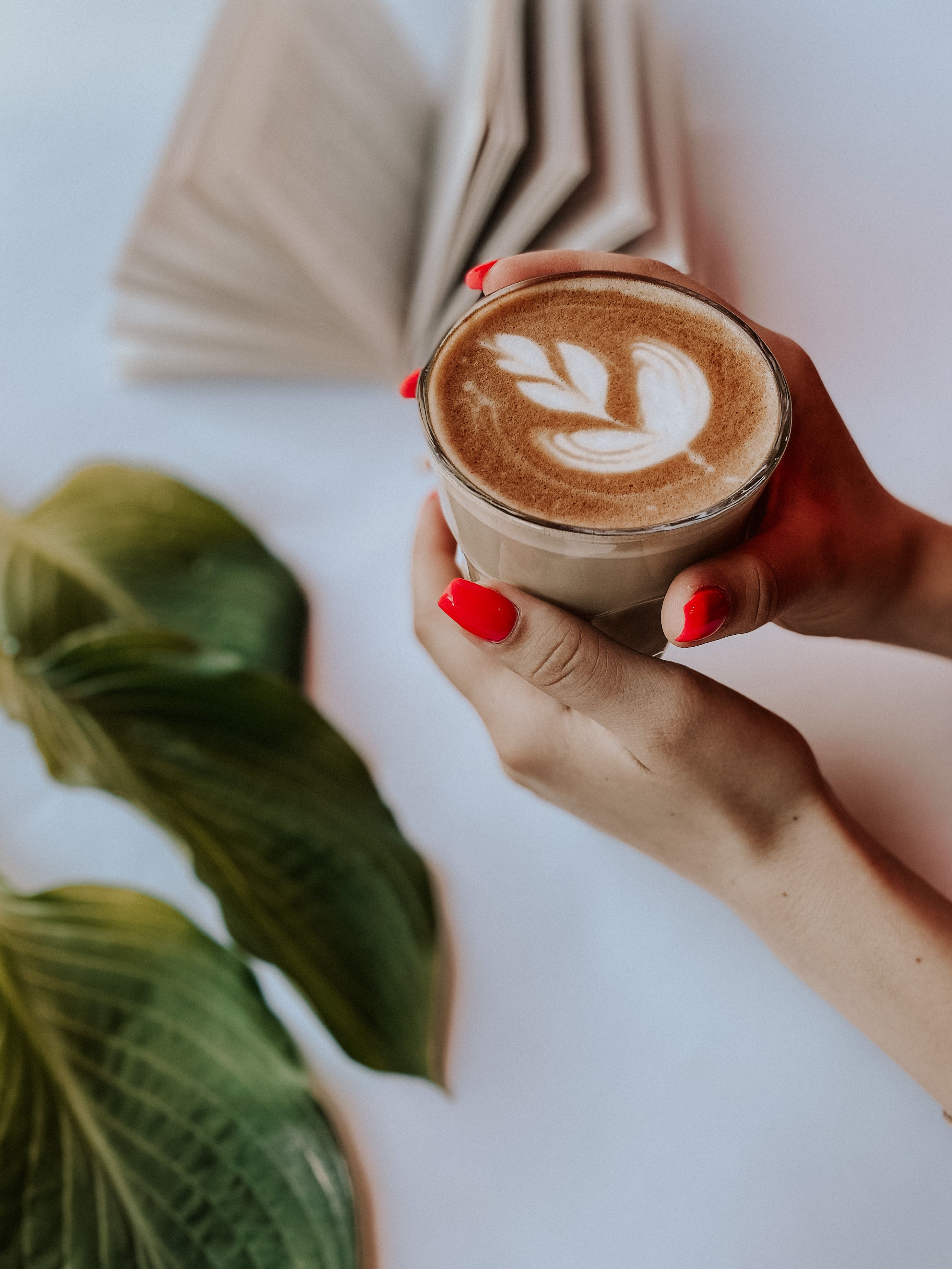 A warm latte held by hands with red nails next to green leaves and a book, creating a cozy vibe.