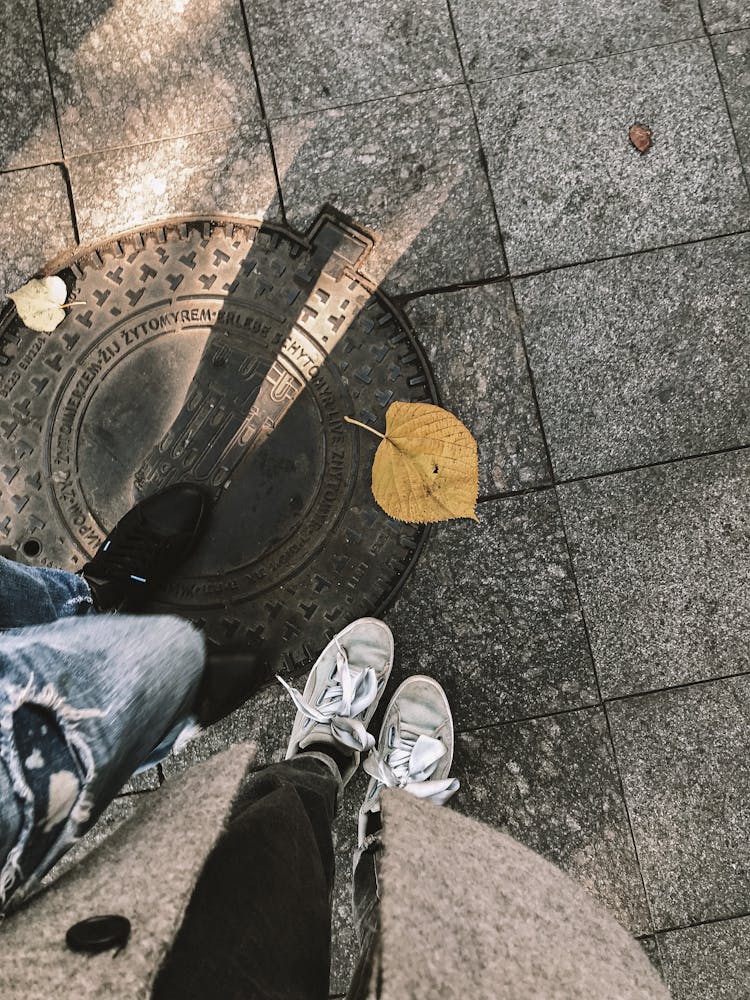 Autumn Leaf At Sidewalk