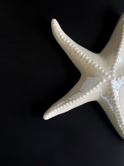Free Artistic close-up of a cream-colored starfish on a black background. Stock Photo
