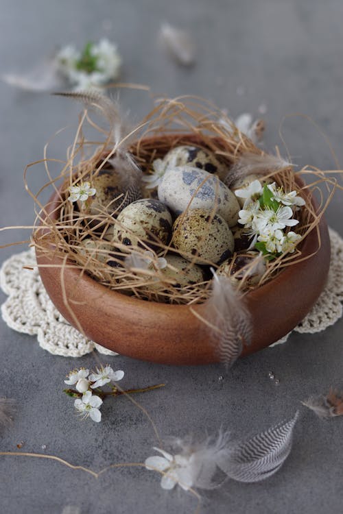 Foto profissional grátis de bacia, decoração, flores