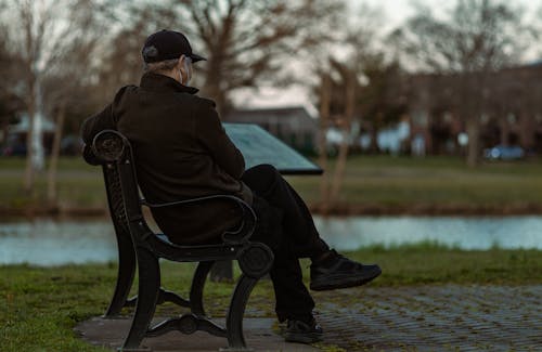 무료 공원, 남자, 노인의 무료 스톡 사진