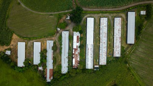 Free Drone shot of agricultural buildings surrounded by fields and countryside from above. Stock Photo