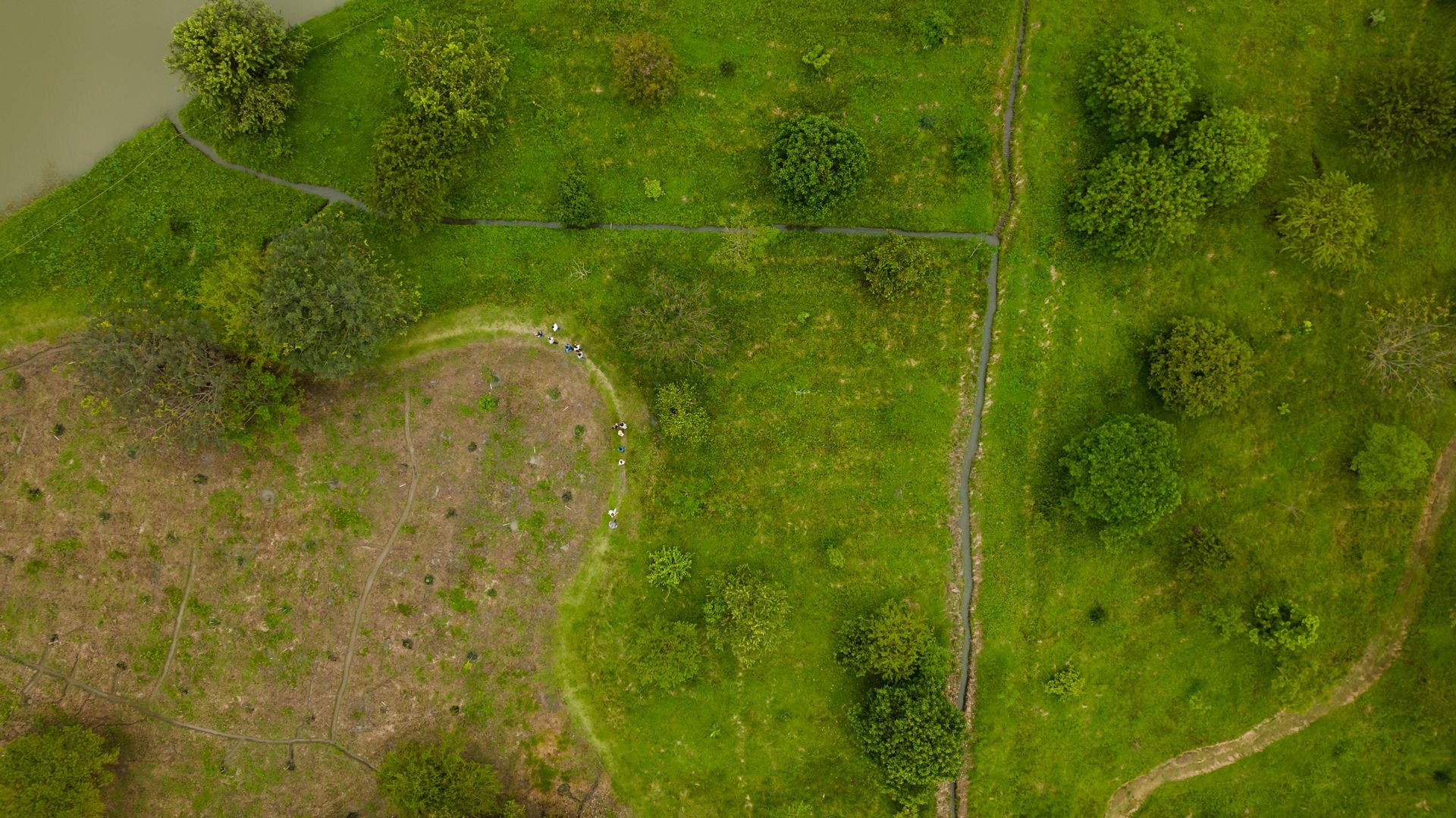 A stunning aerial photograph showcasing a lush green park with winding paths and vibrant trees.