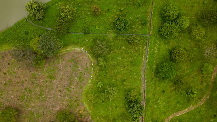 Paths And Streams In A Park