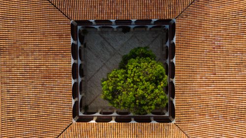 Free Drone shot of a courtyard with a lush tree centrally located, surrounded by tiled roofs. Stock Photo