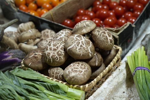 Fresh Shiitake — Xiang Gu