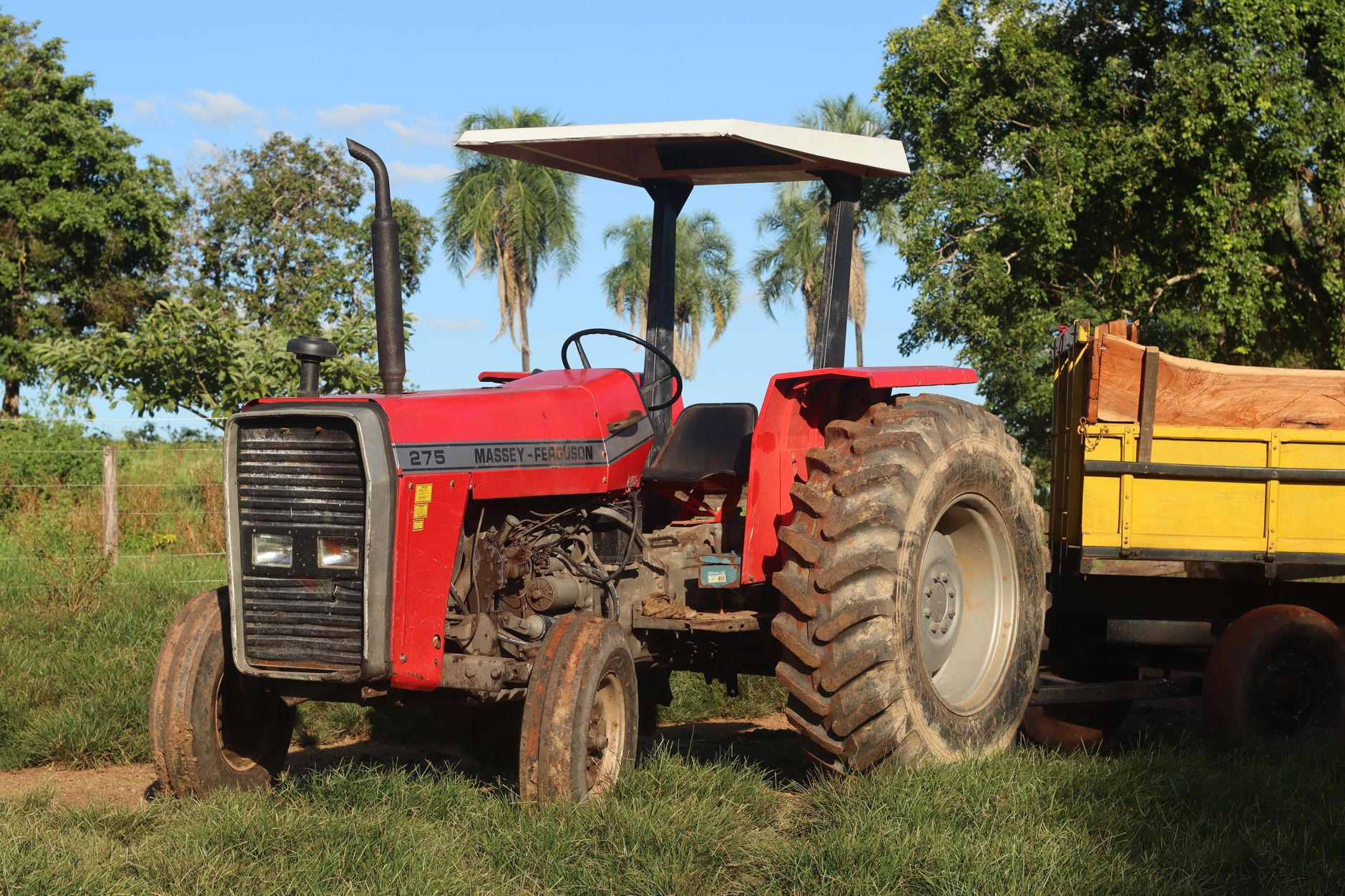 Red Massey Ferguson tractor with trailer on a sunny day in the countryside.