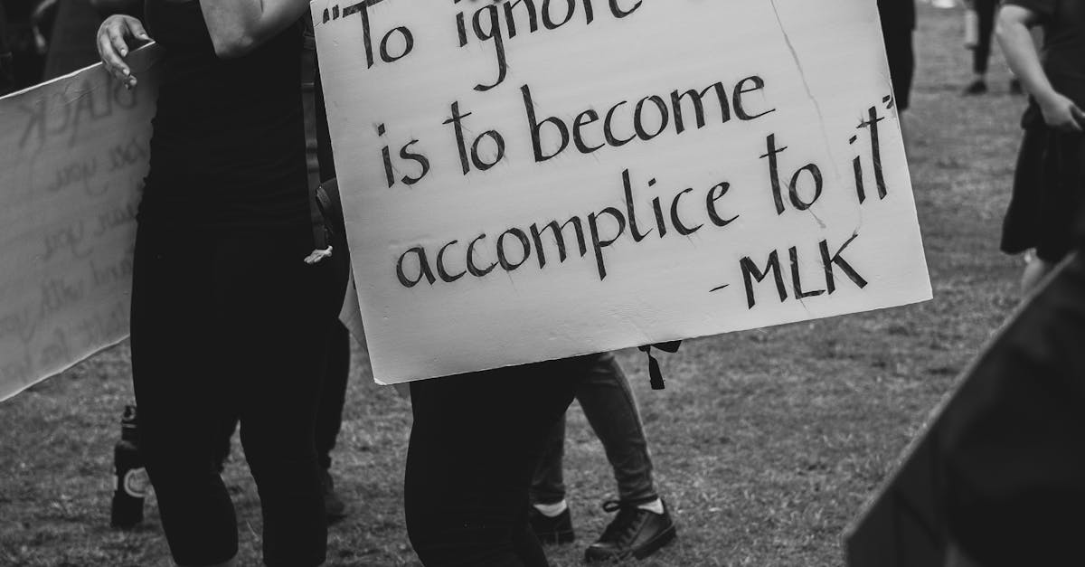 藍白立委聯手批評江雅綺學倫案 指控科技部學倫委員未利益迴避