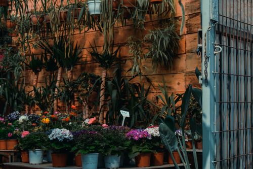 Free A vibrant display of various potted plants and flowers in an indoor retail setting, showcasing lush greenery. Stock Photo