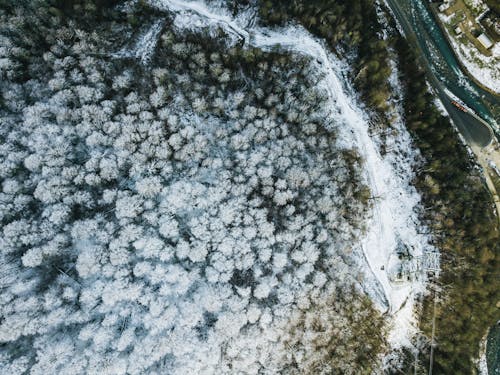 Free Aerial View of Forest Covered With Snow Stock Photo