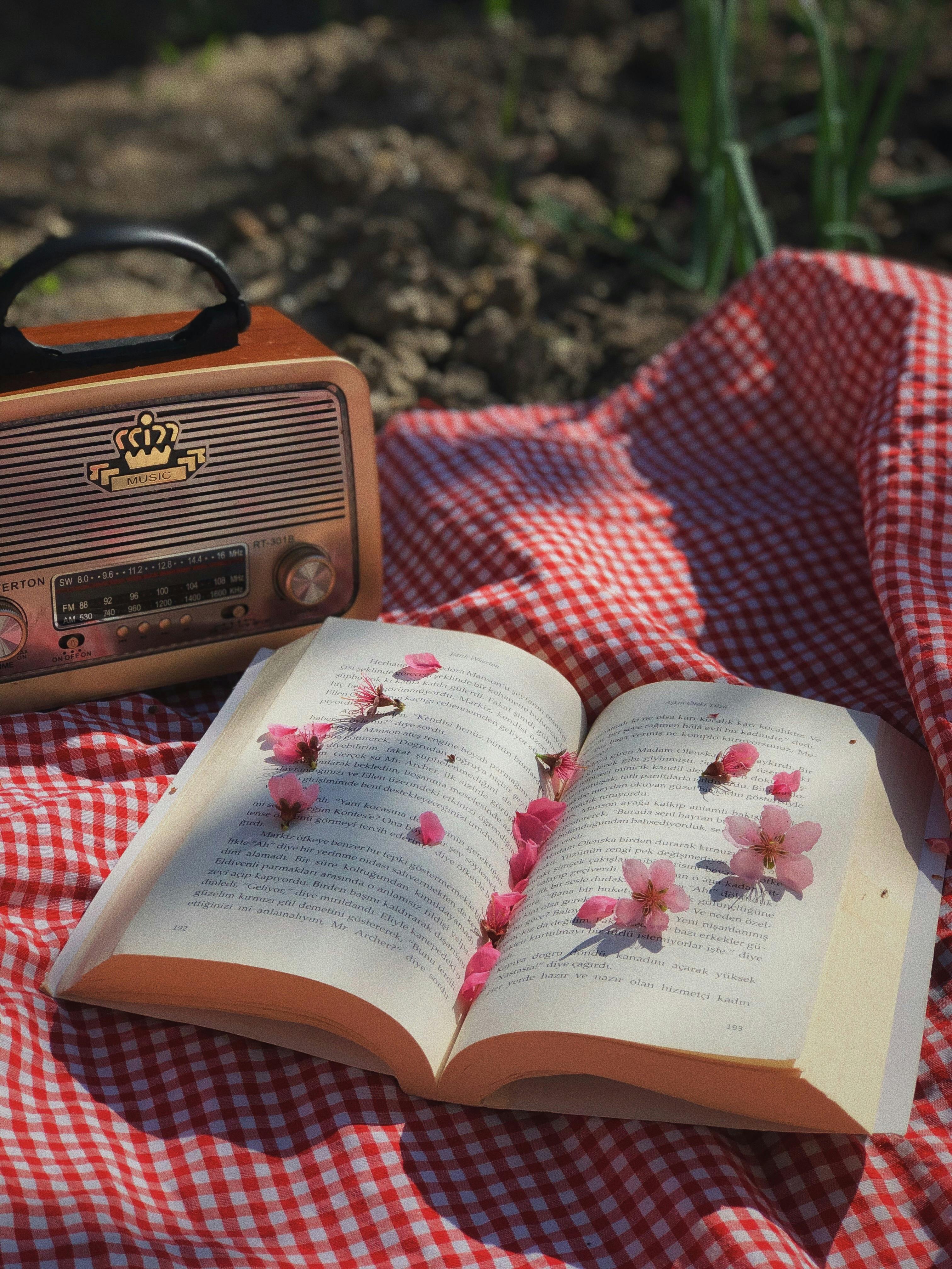 A charming vintage picnic featuring a book with flowers and a retro radio on a checkered cloth.