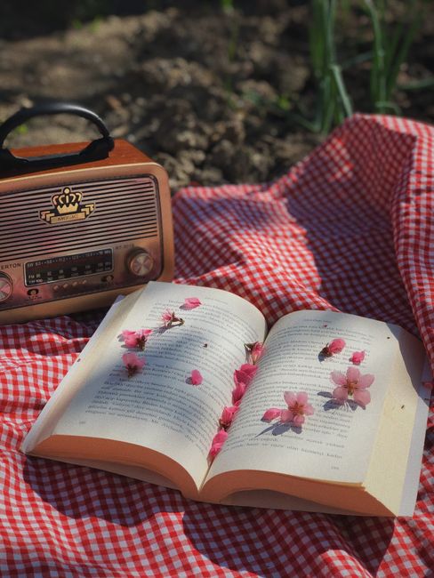 A charming vintage picnic featuring a book with flowers and a retro radio on a checkered cloth.