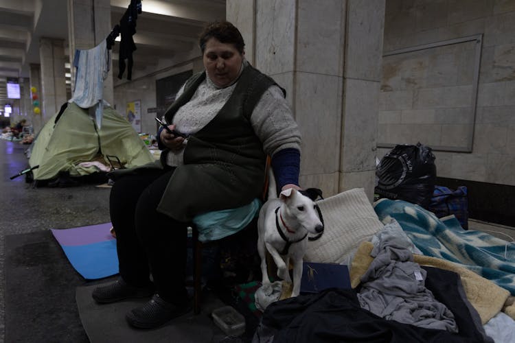 A Woman In A Shelter With Her Pet Dog