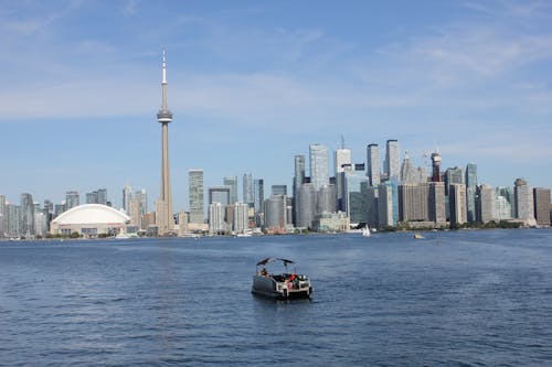 Free The Toronto Skyline  Stock Photo
