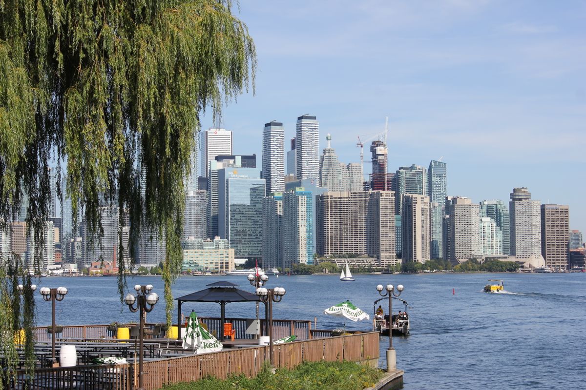 Toronto skyline from a waterfront park