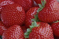 portret van enkele belgische aardbeiden